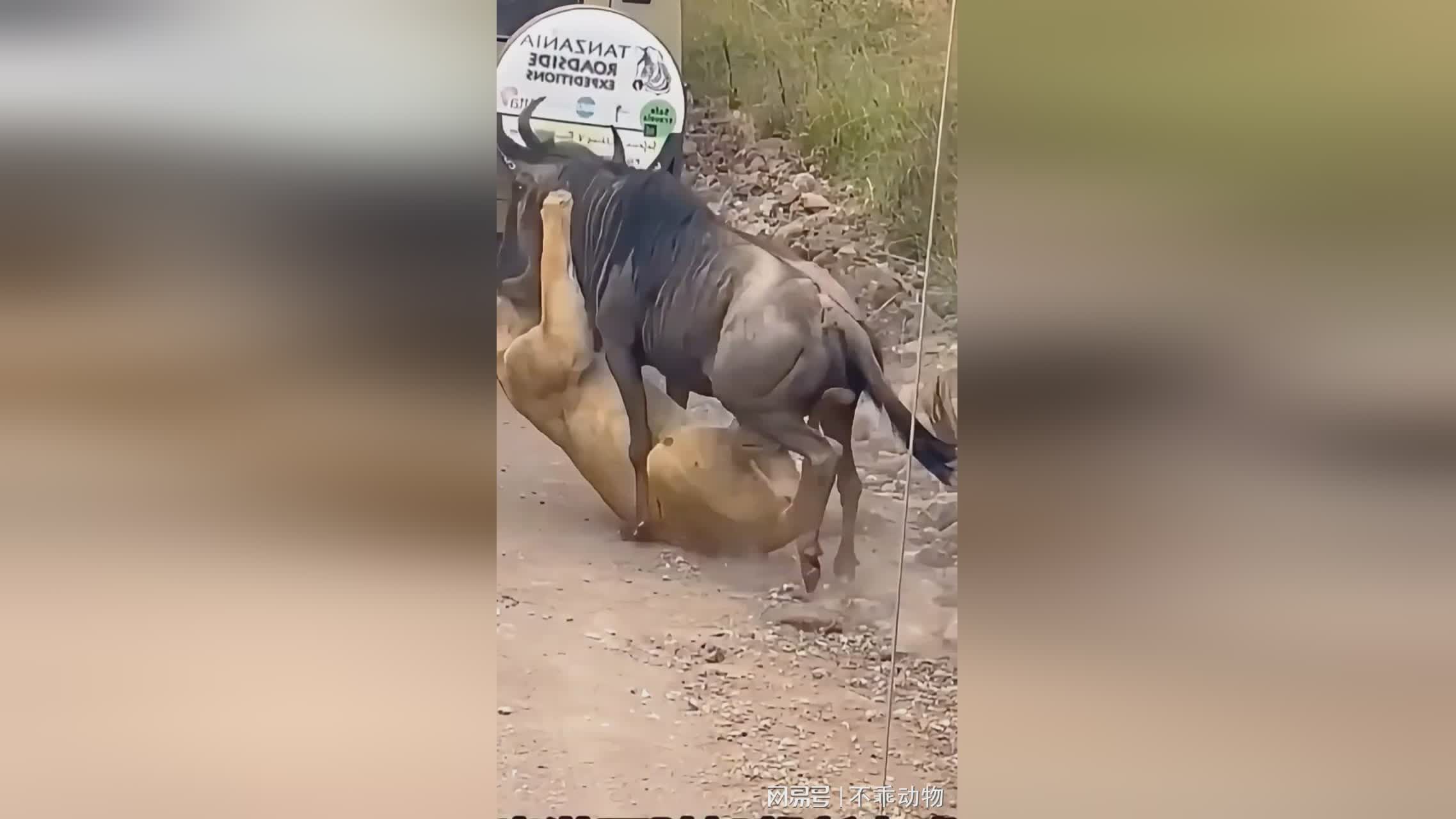 图