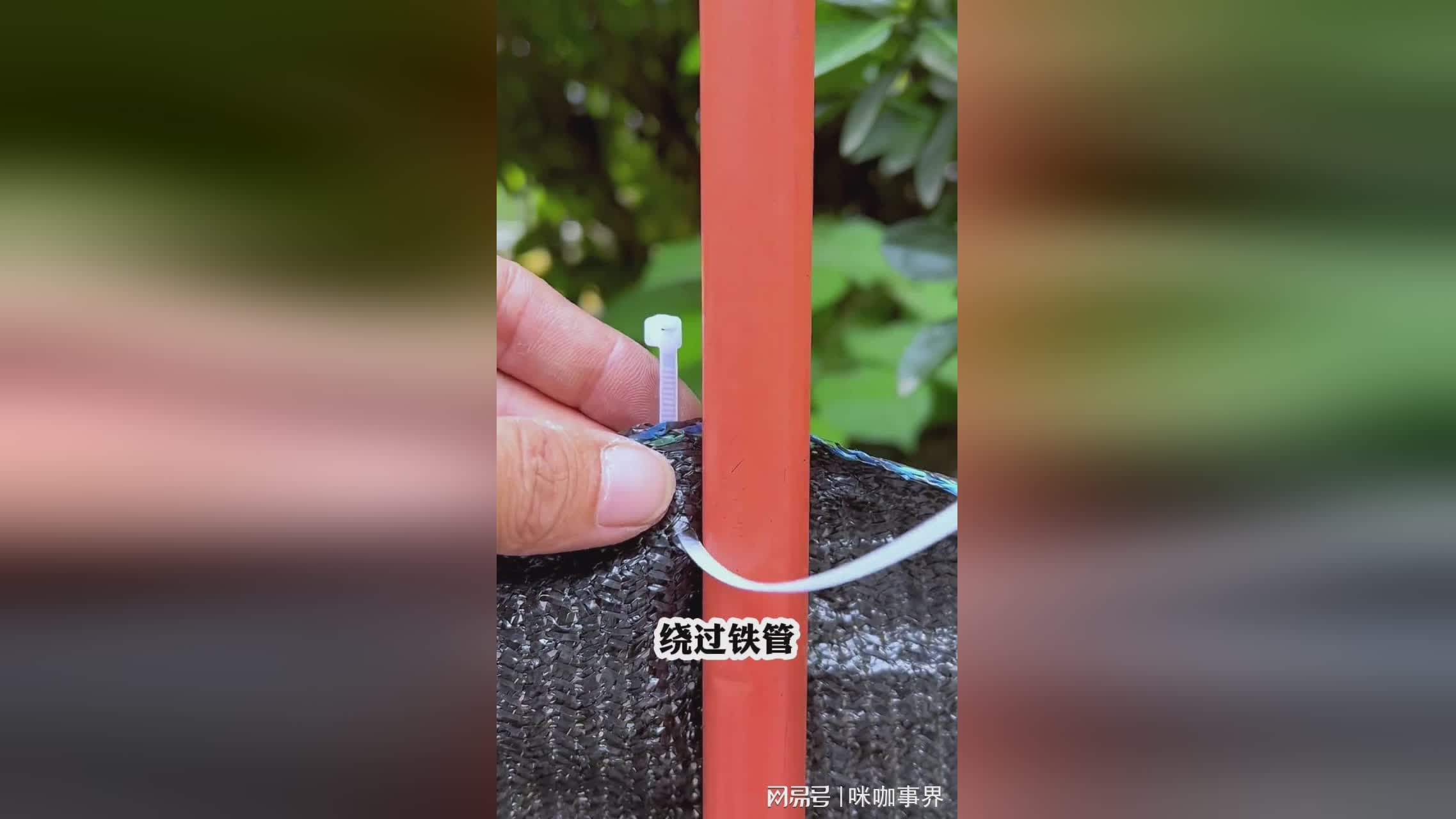 图