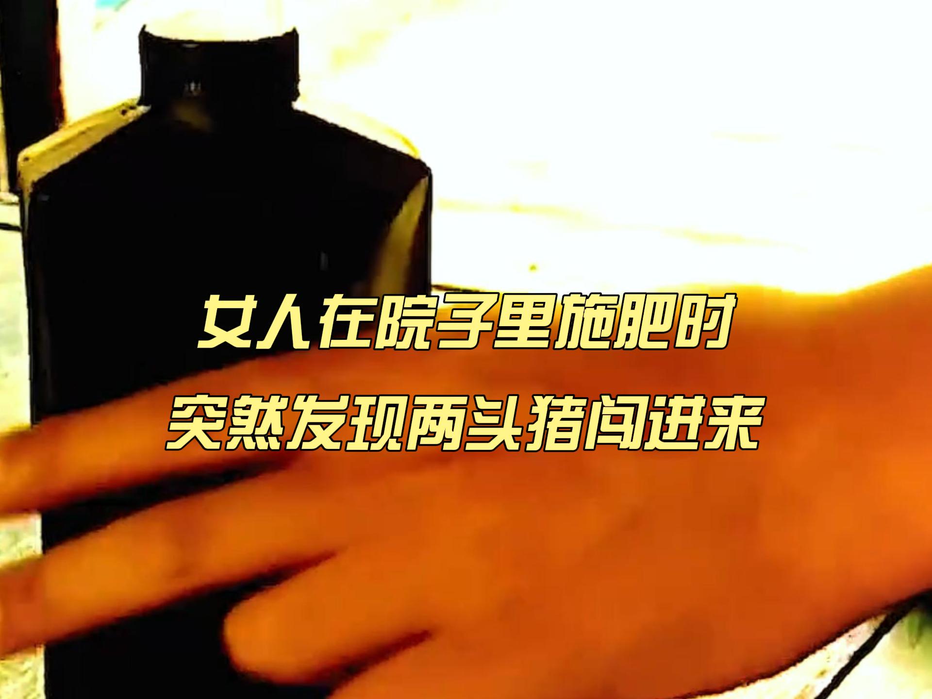 图
