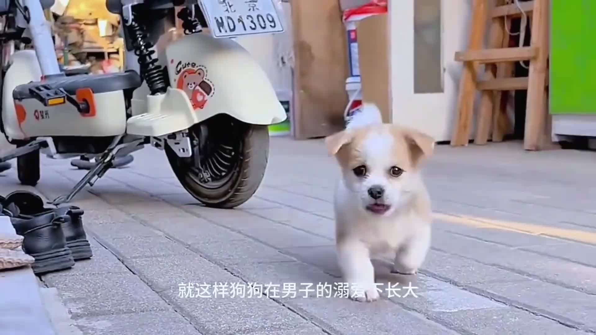 图