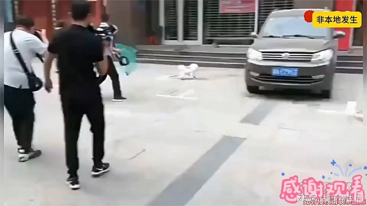 图