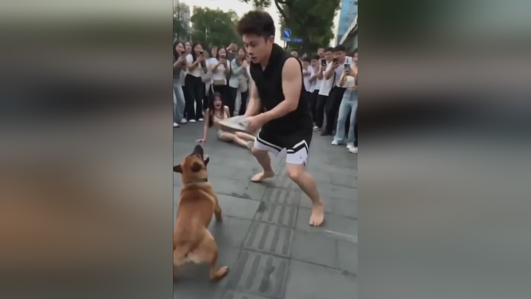 图