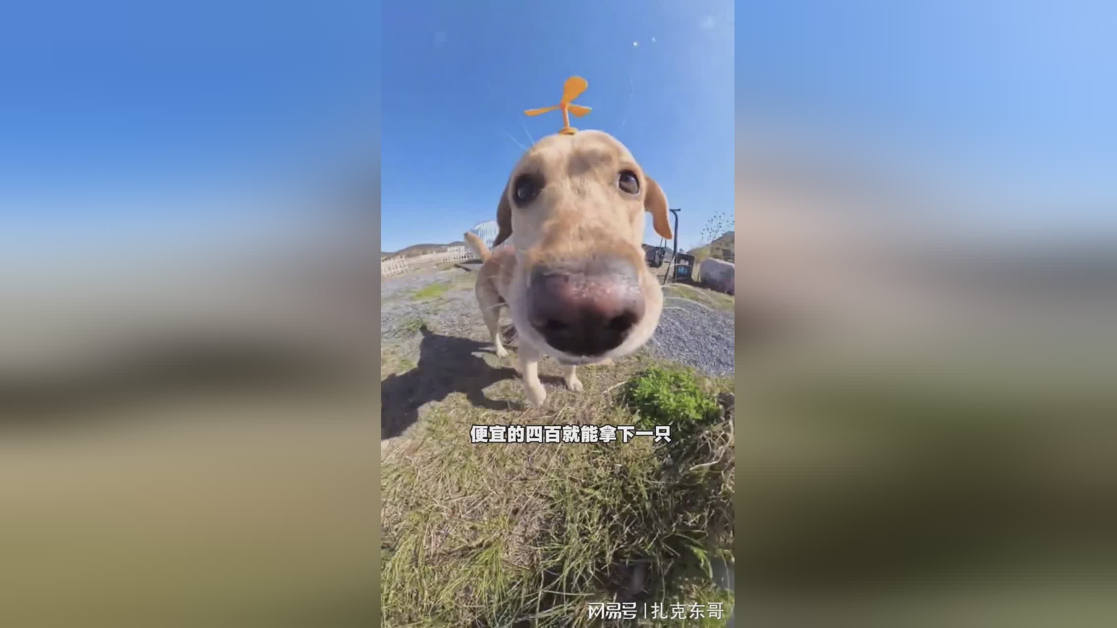 图