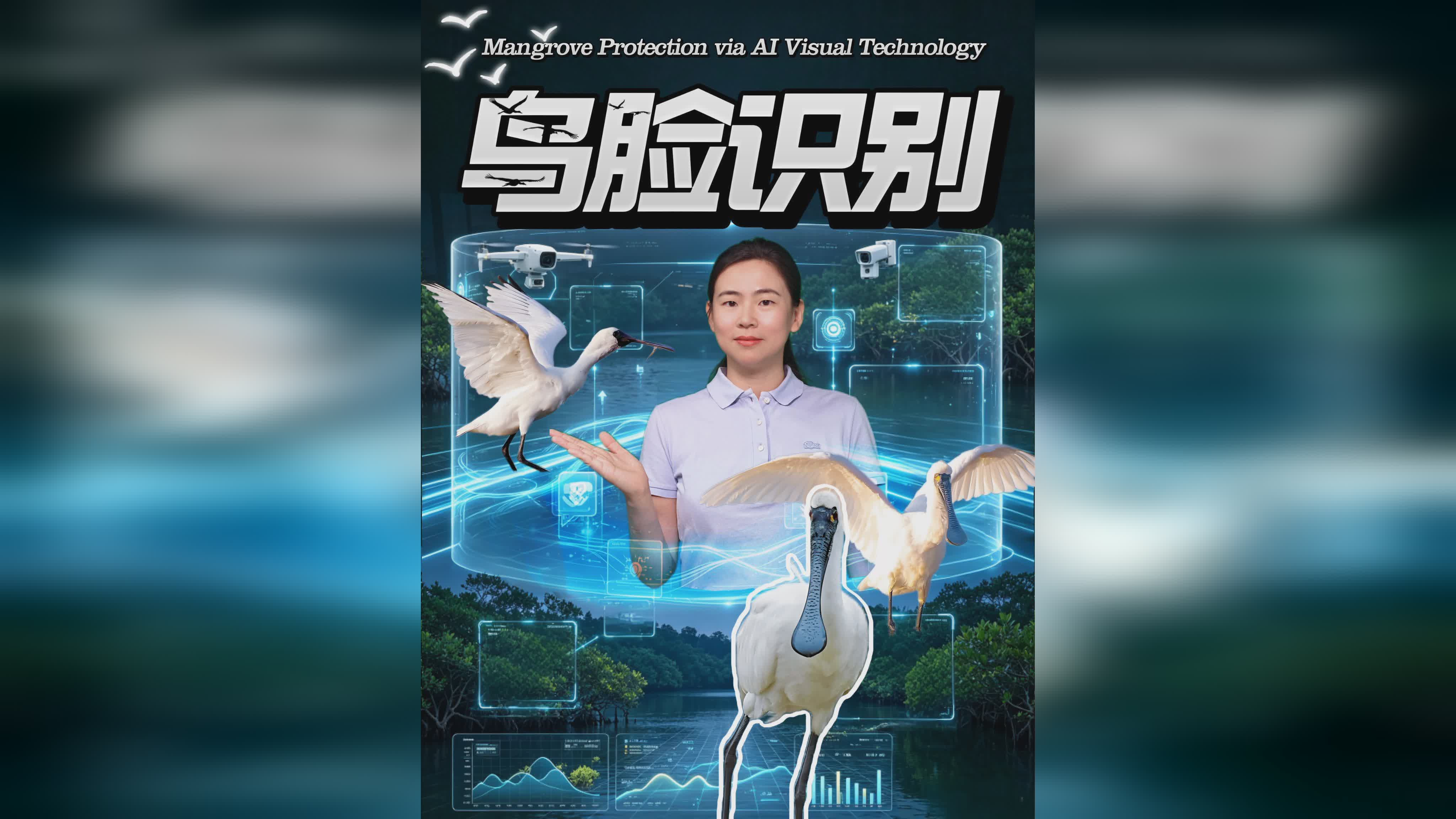 图