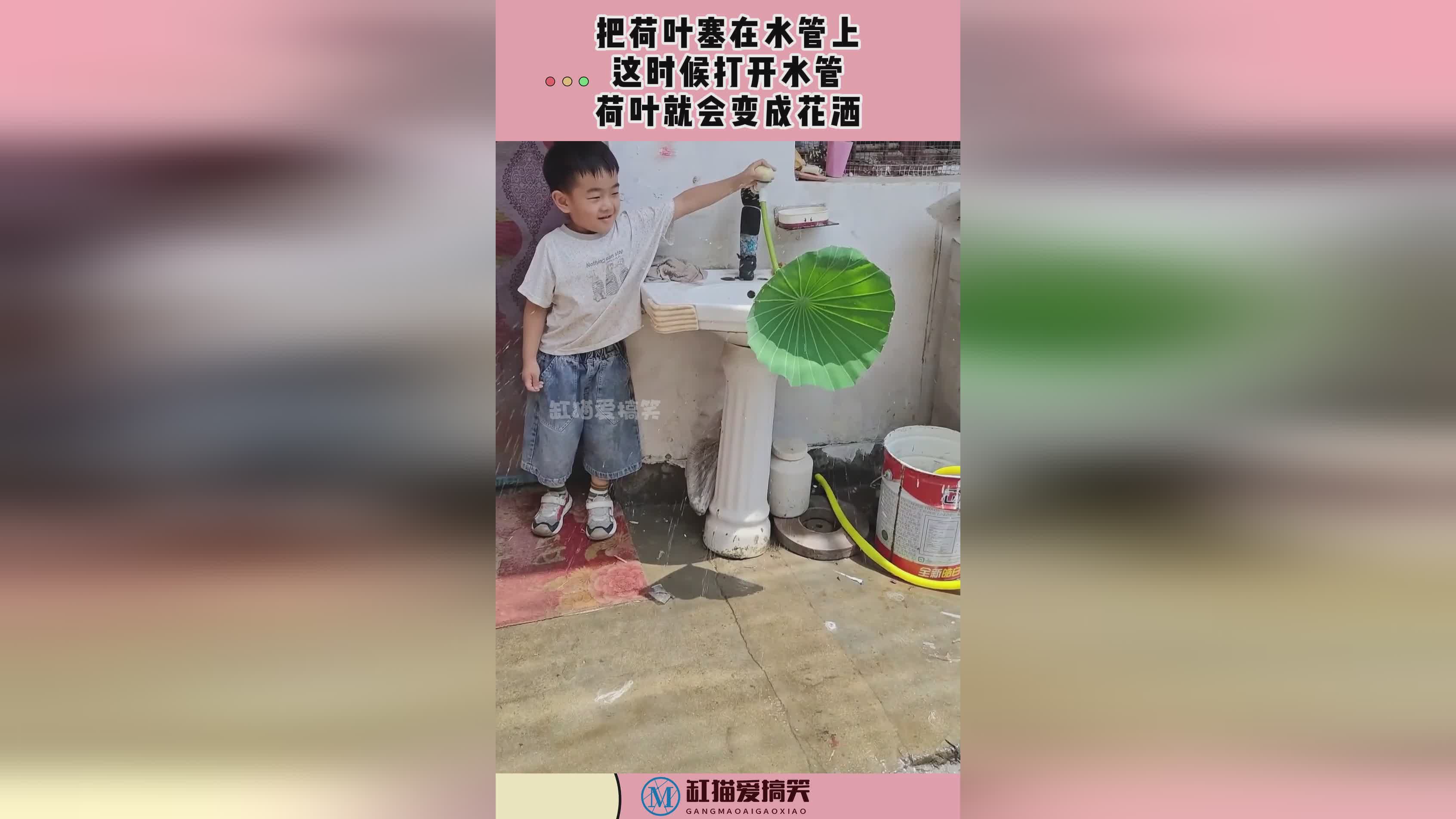 图