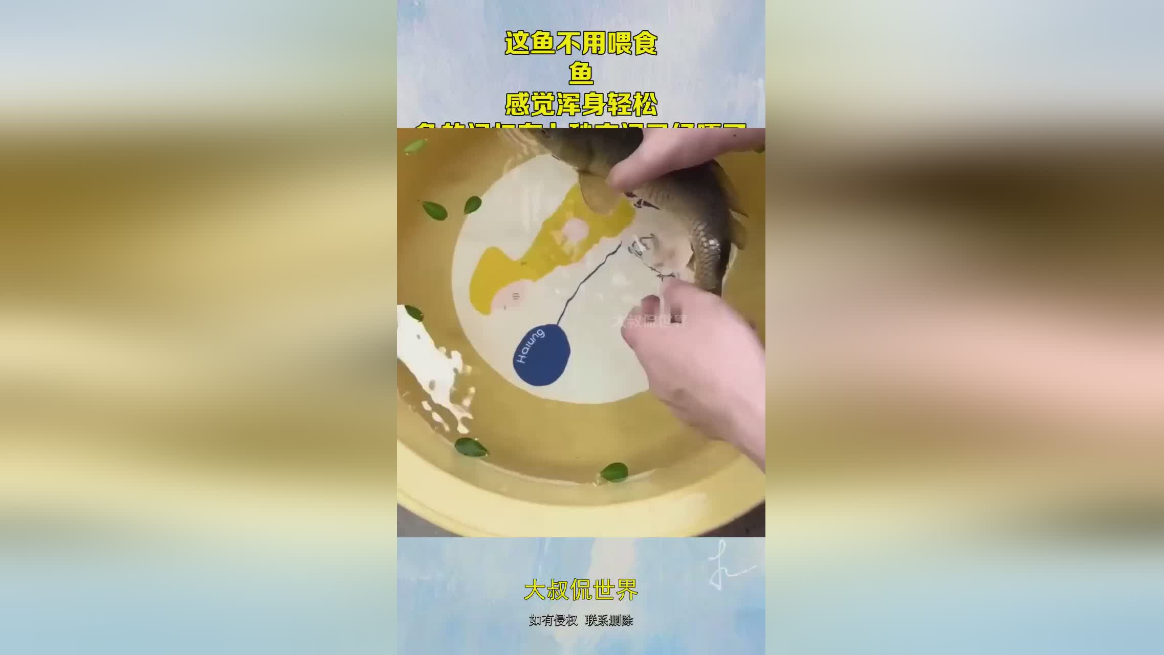 图