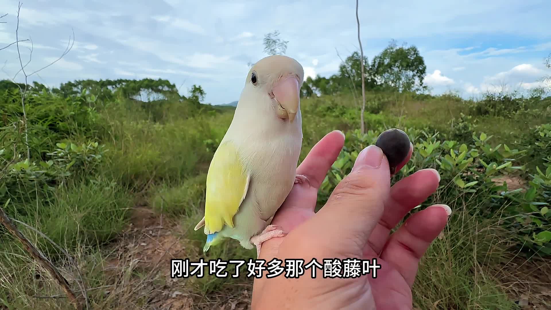 图