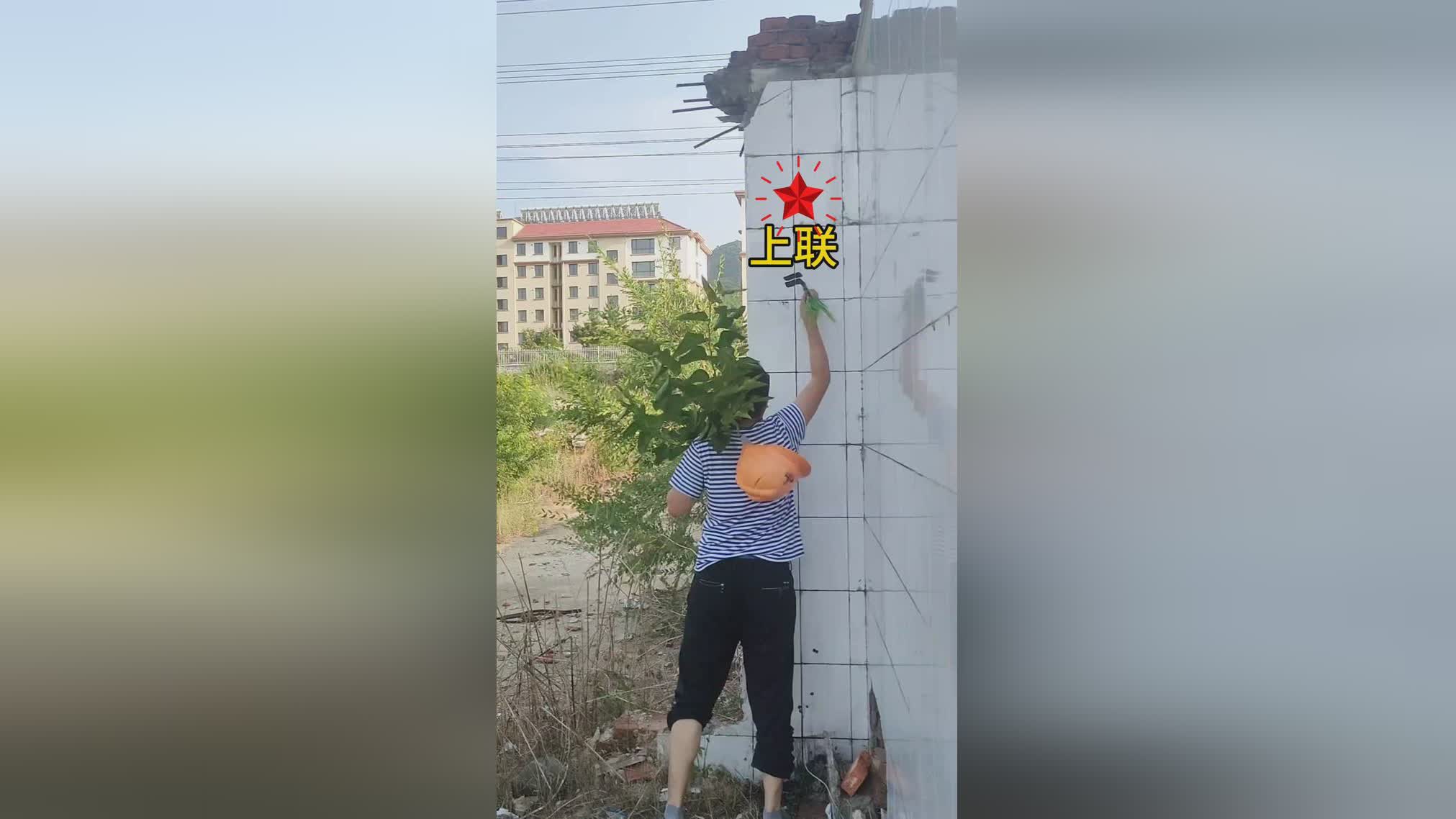 图