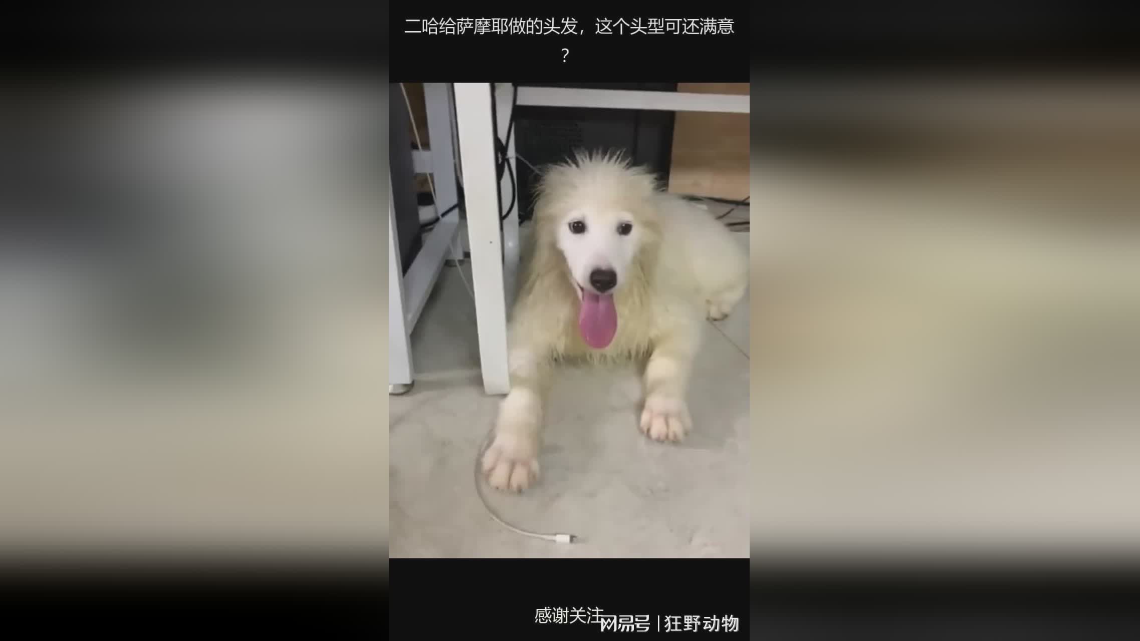 图