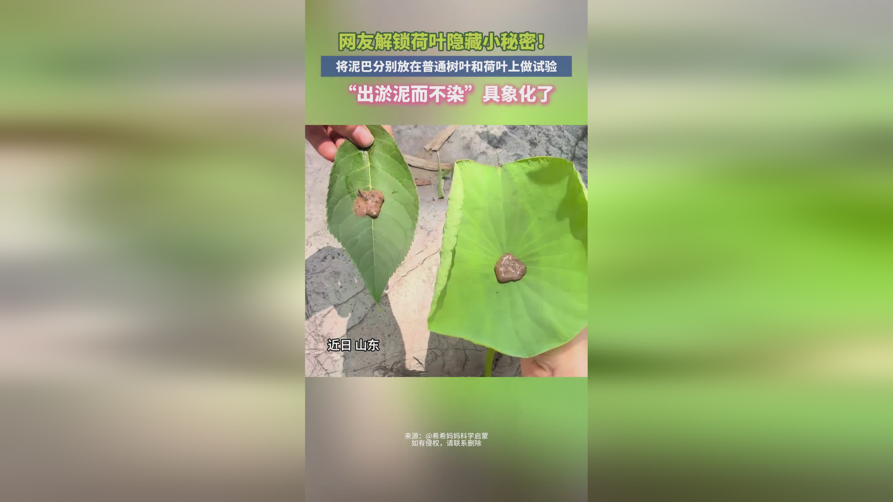 图