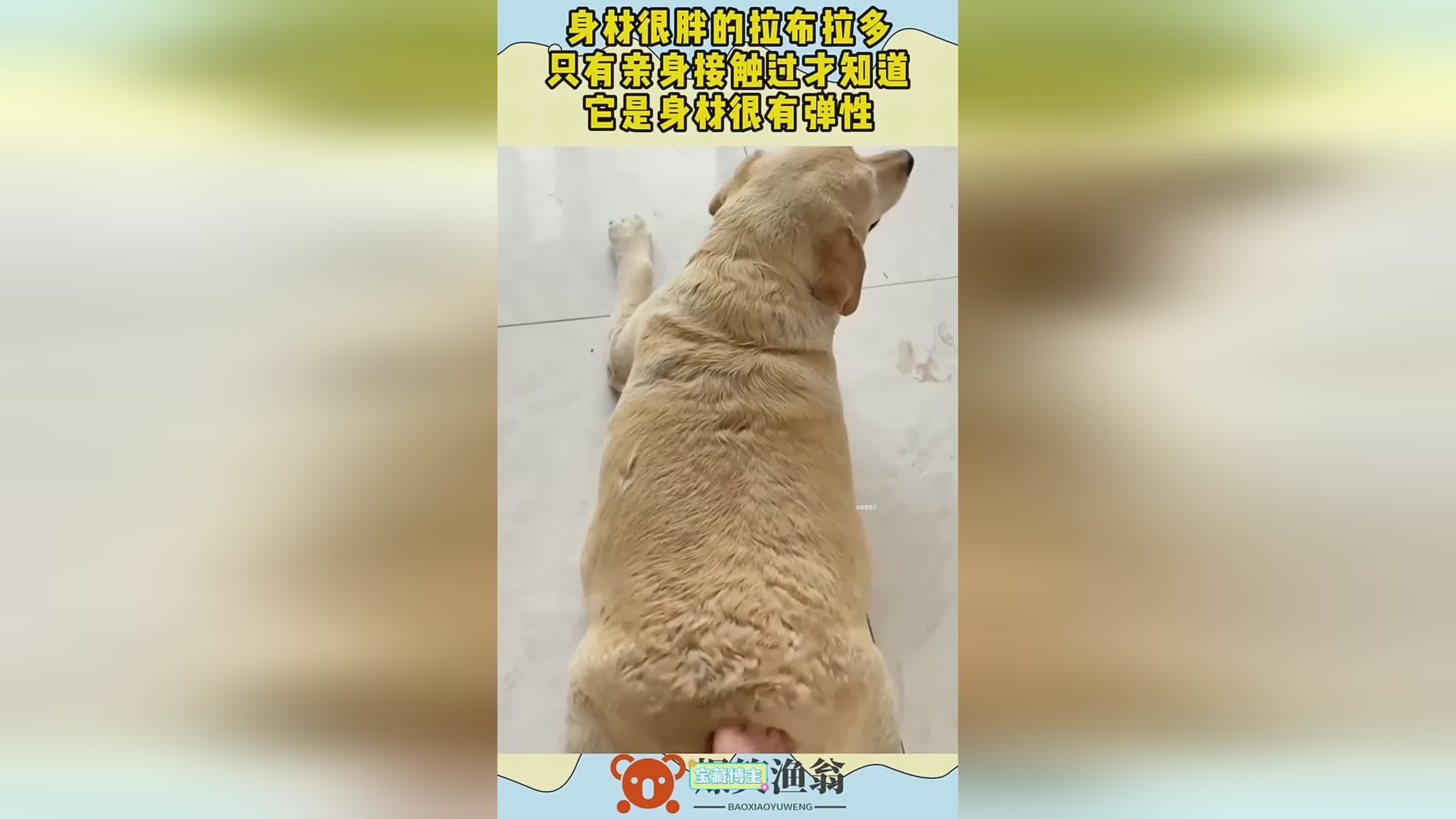 图
