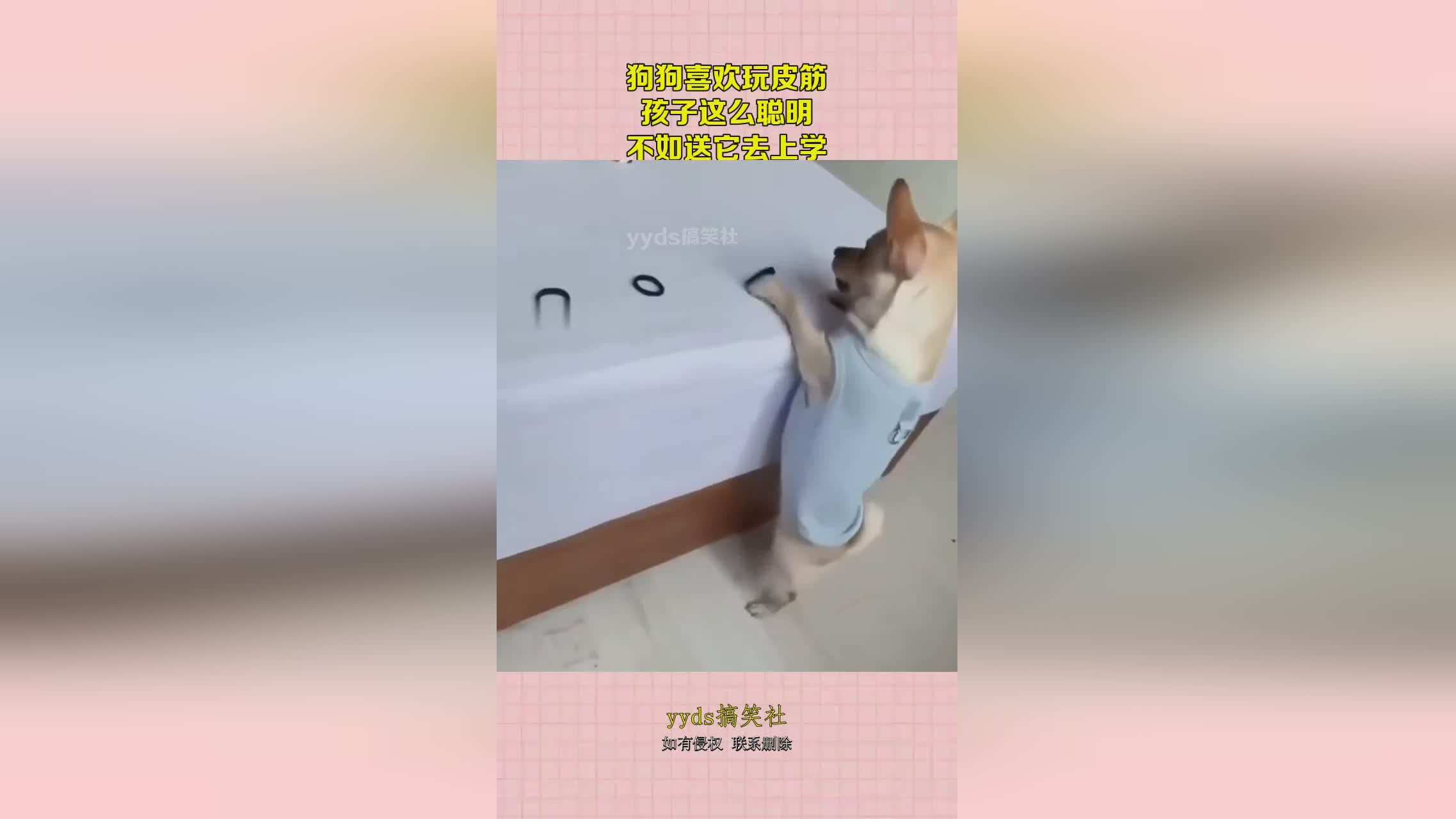 图