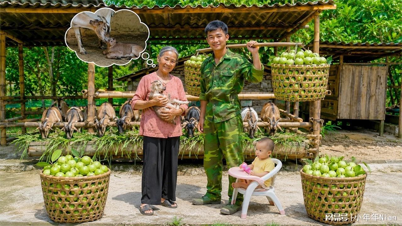 图