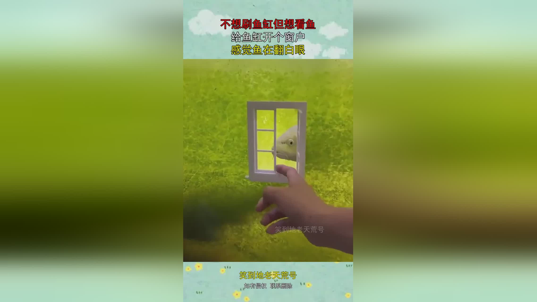 图