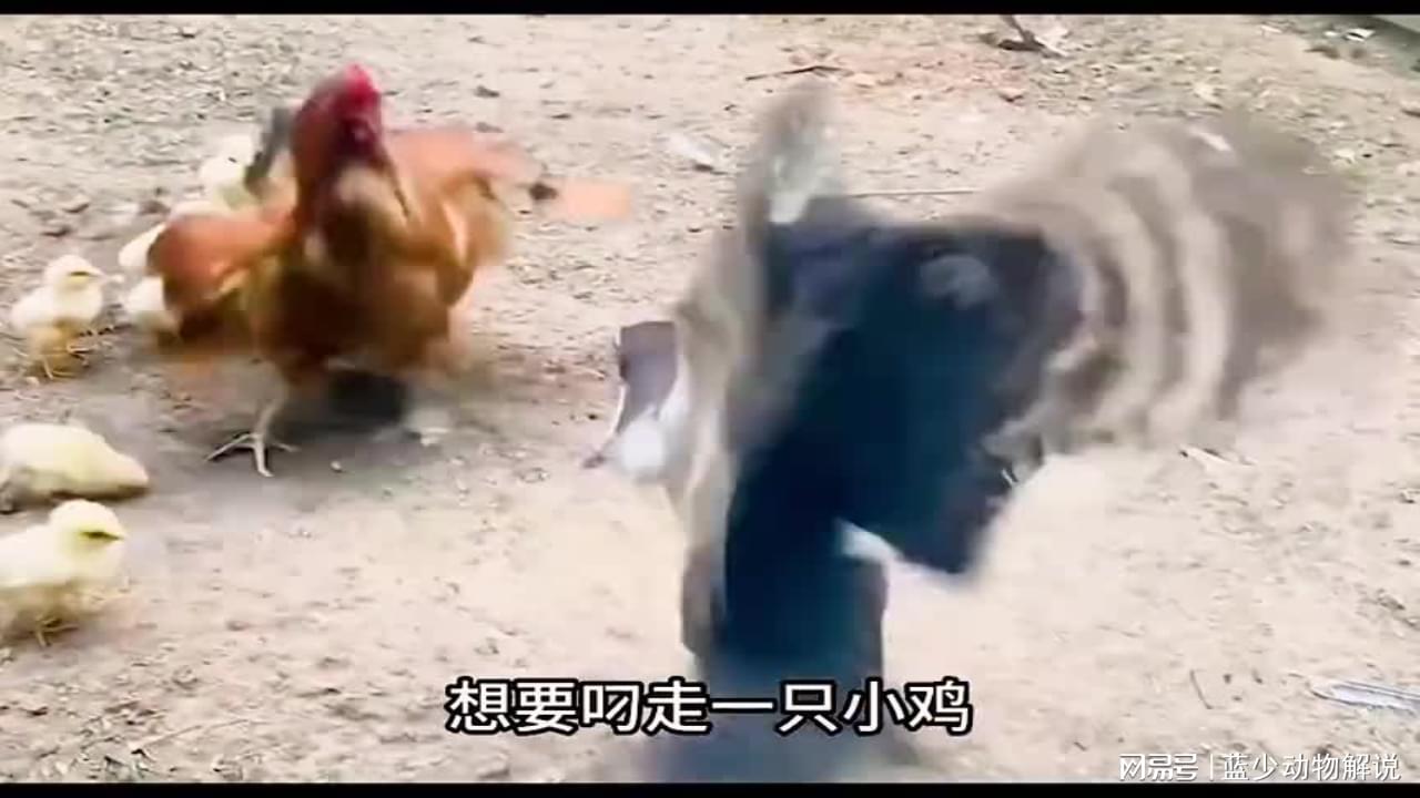图