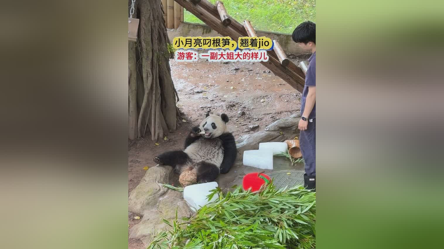 图