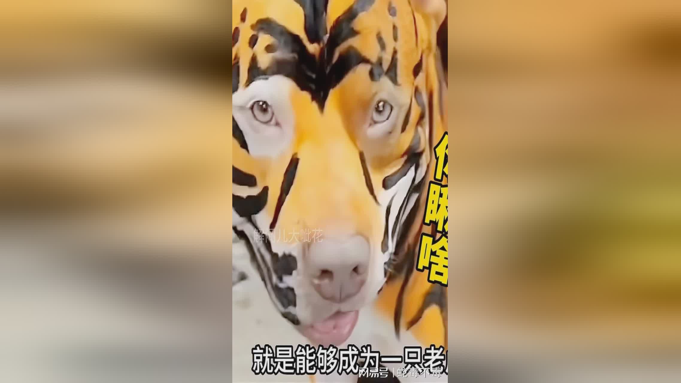 图