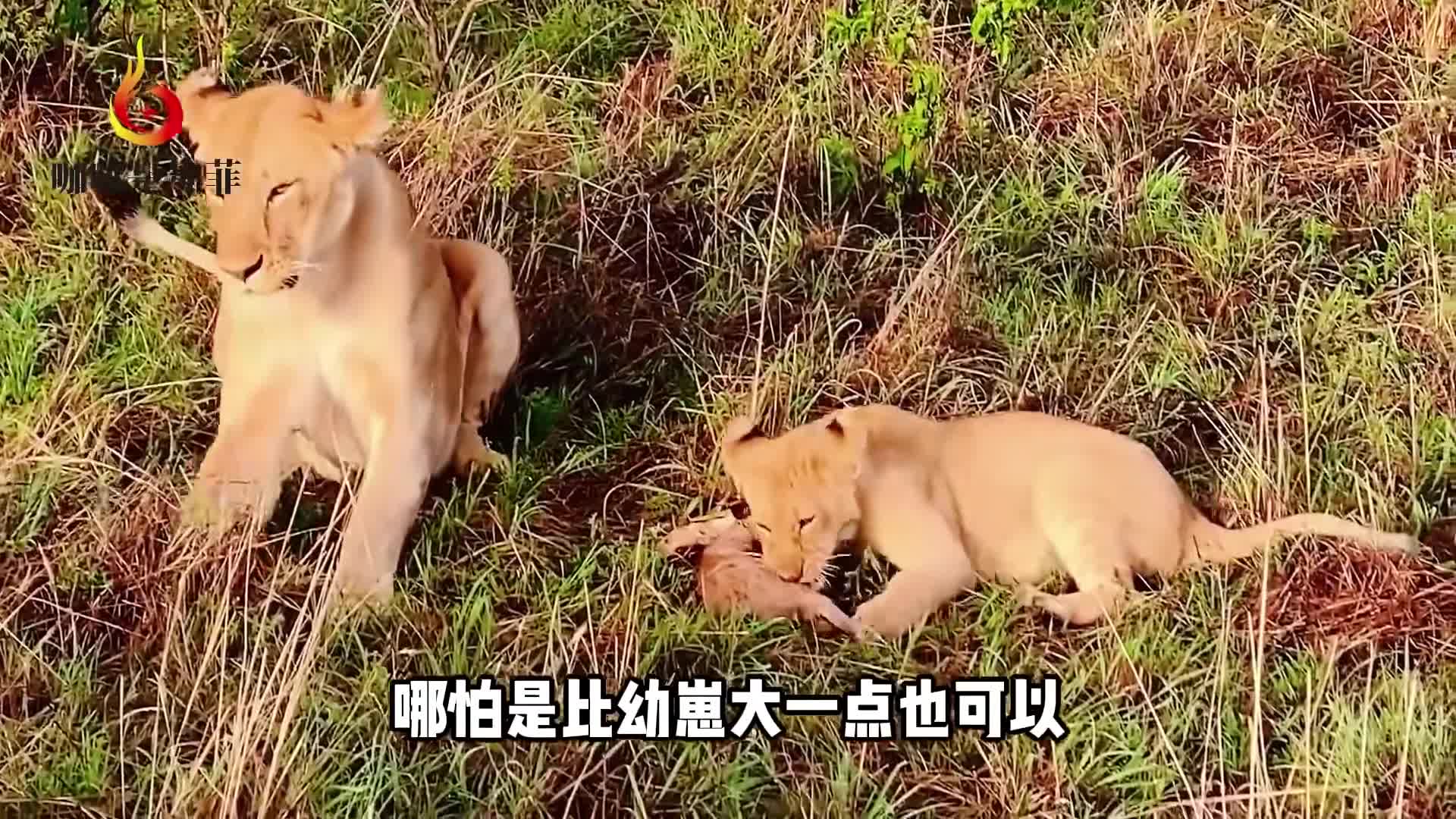 图
