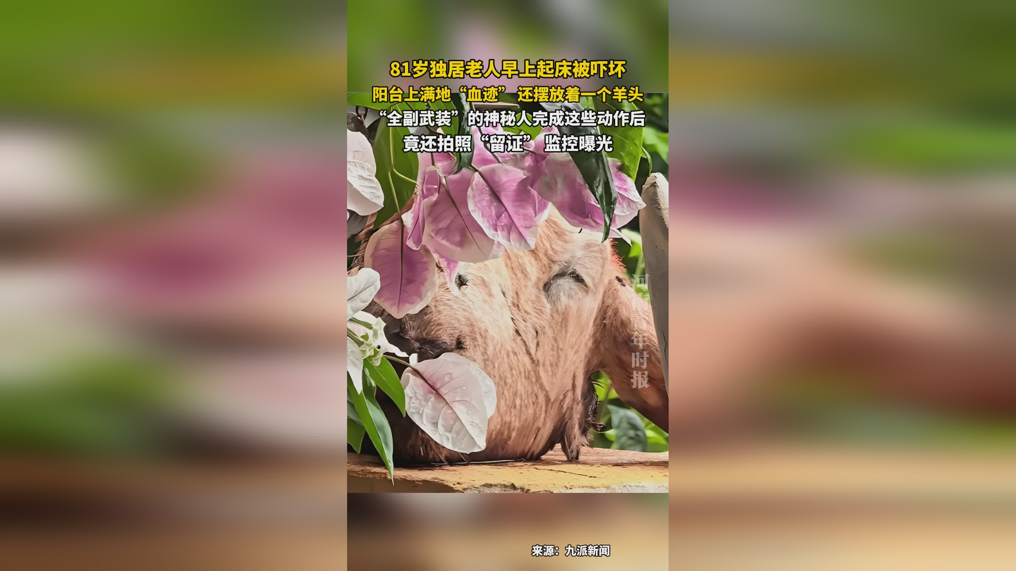 图
