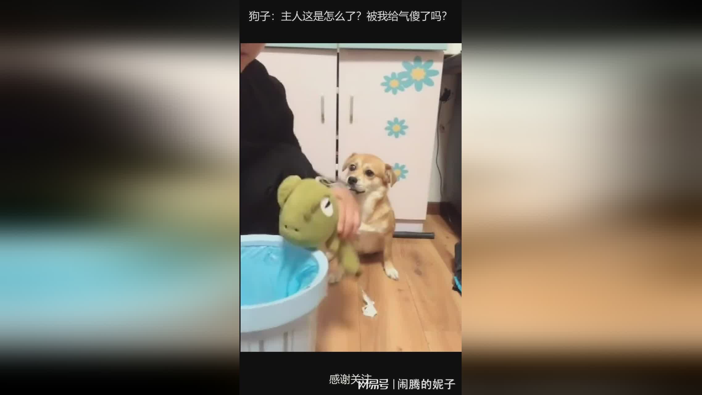 图