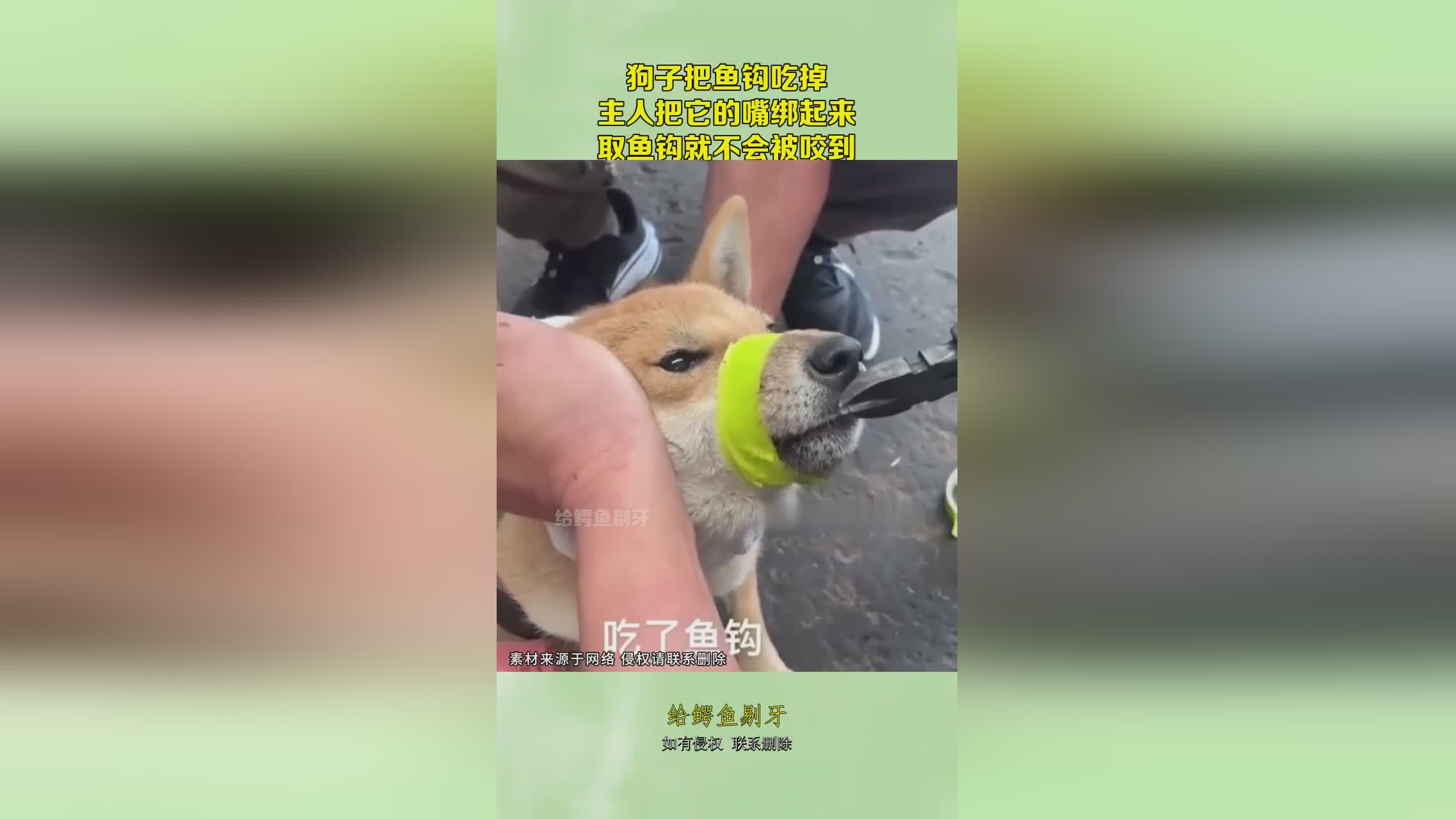 图
