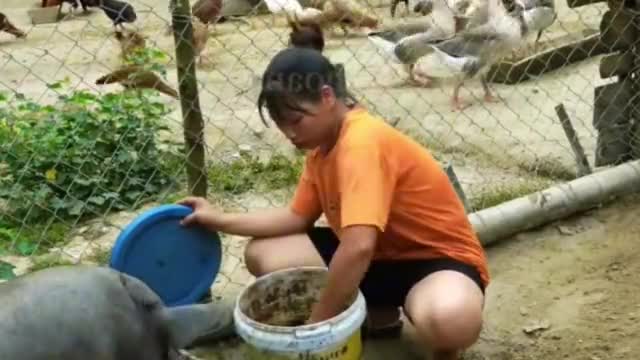 图