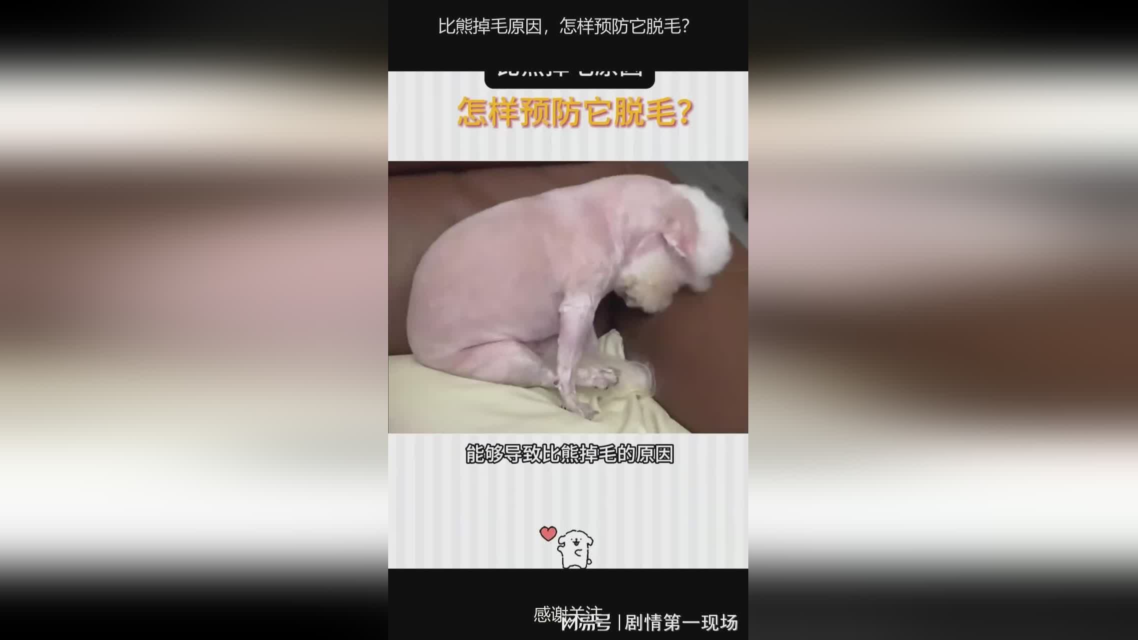 图
