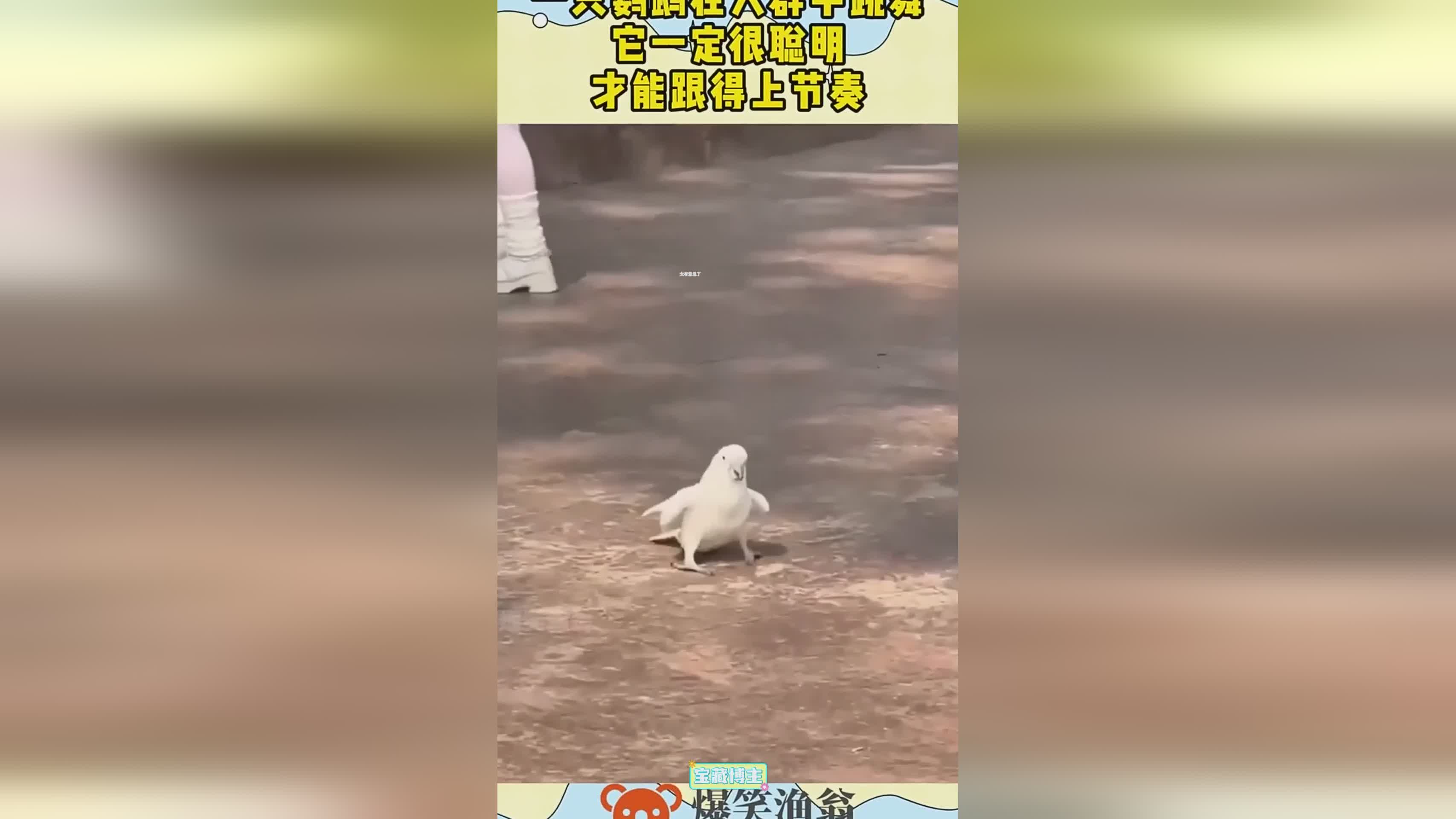 图