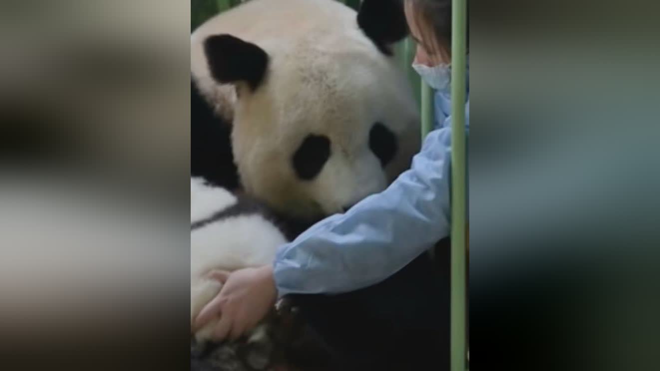 图