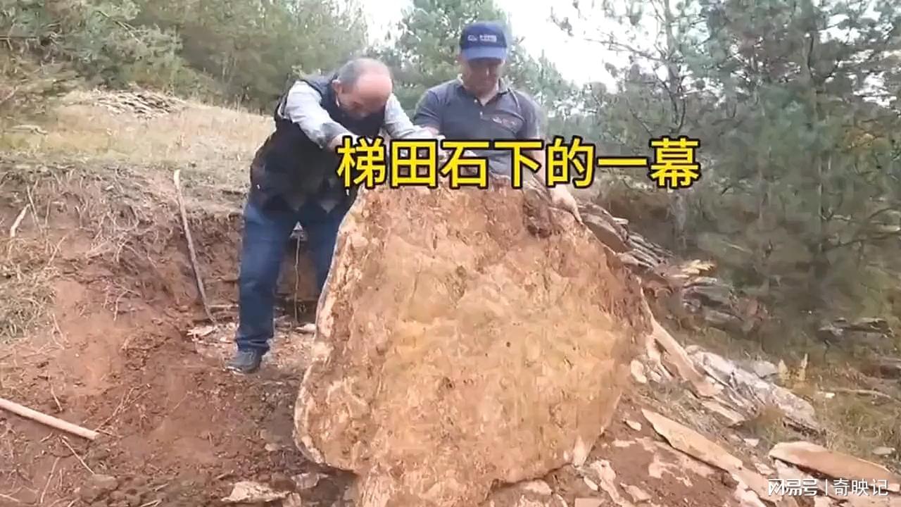 图
