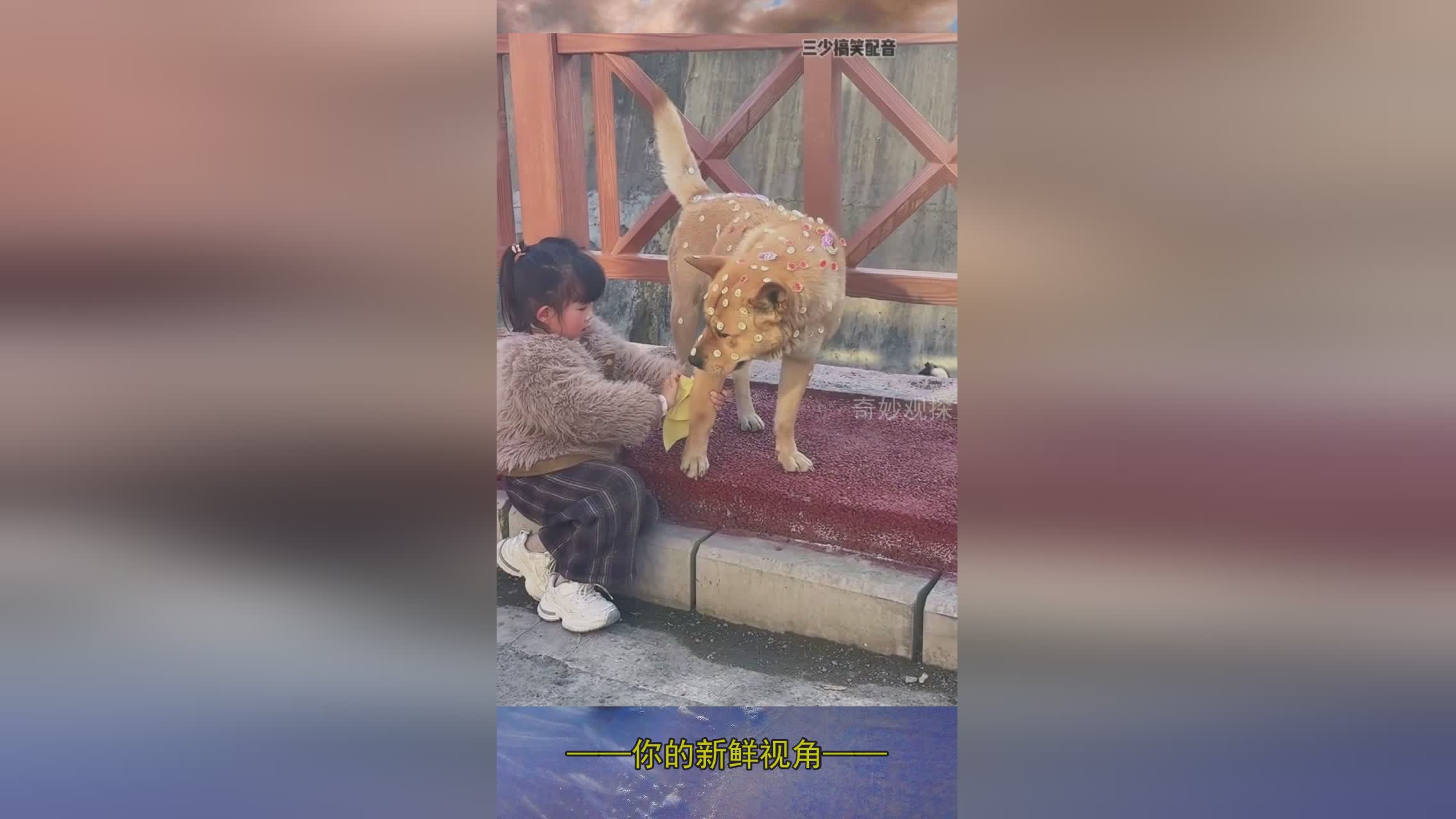 图