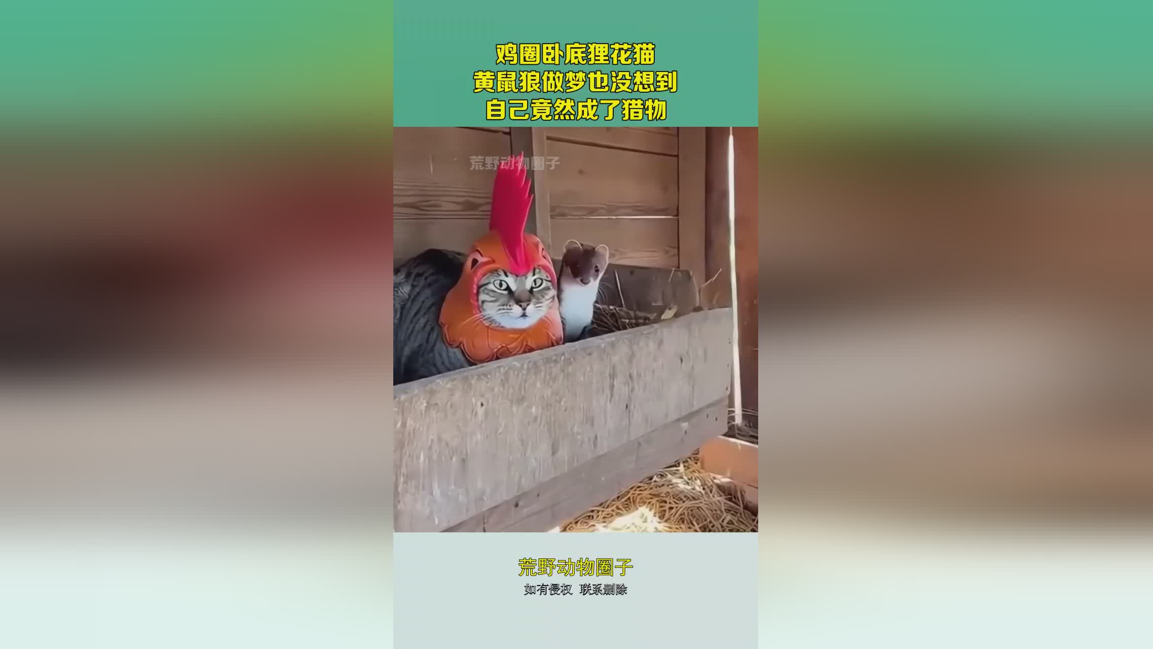 图