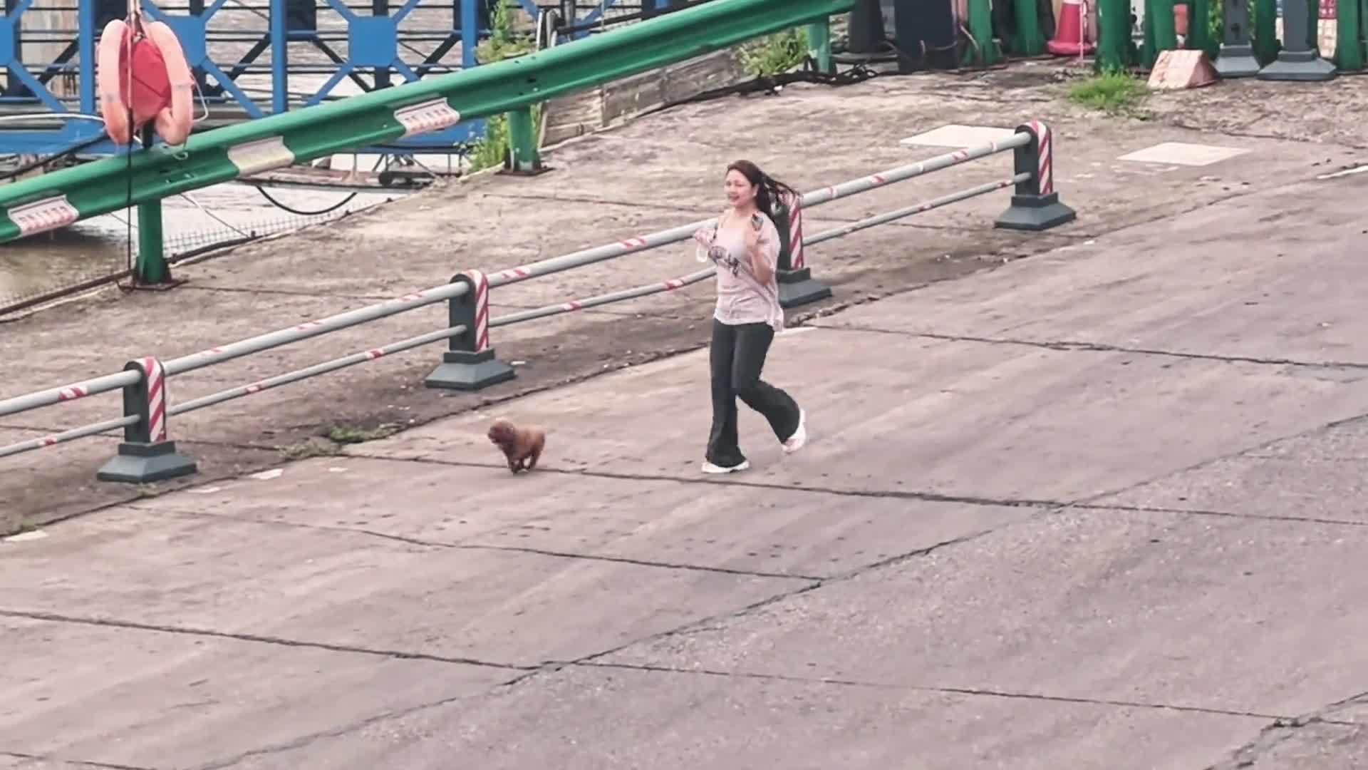 图