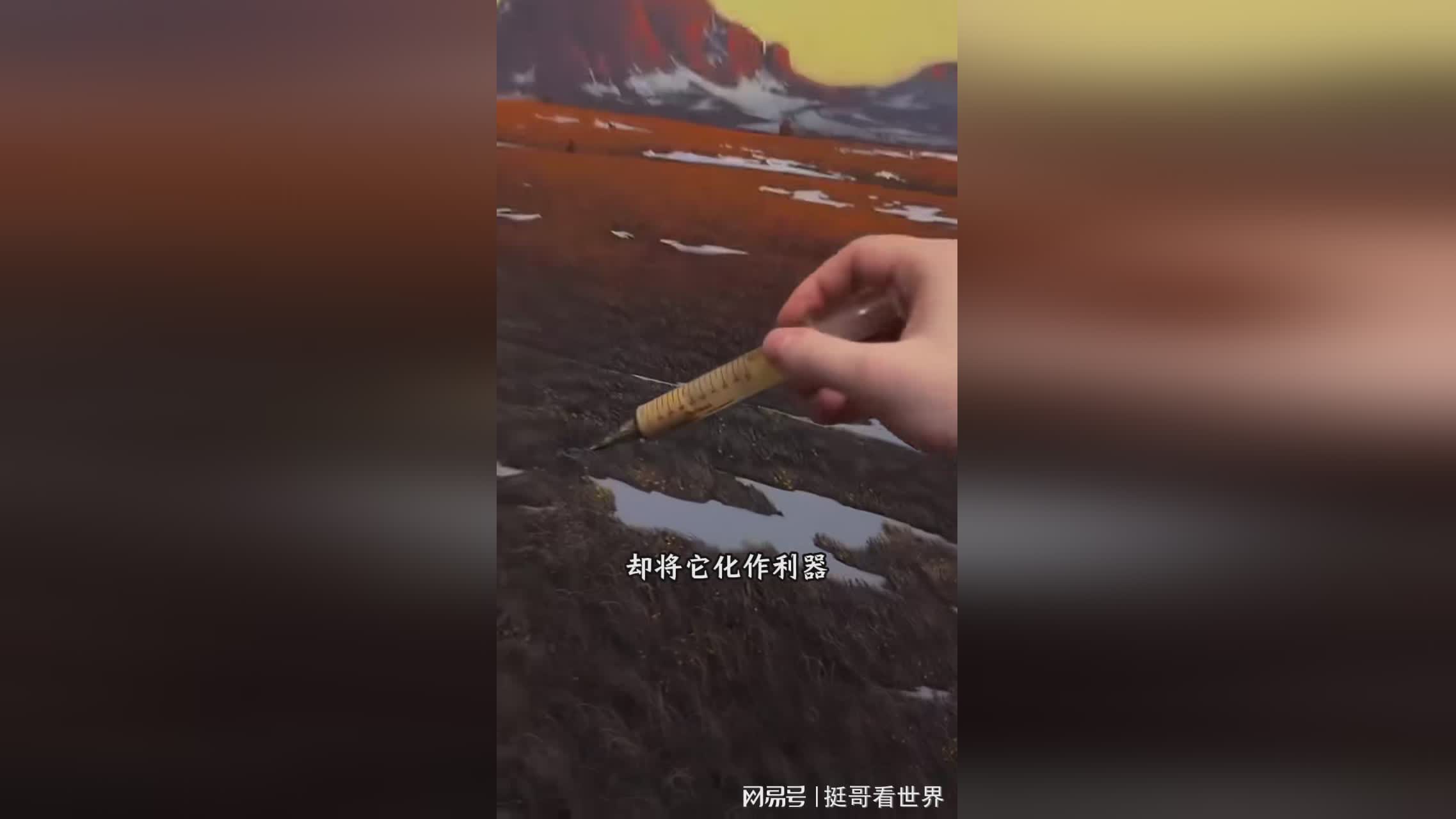 图