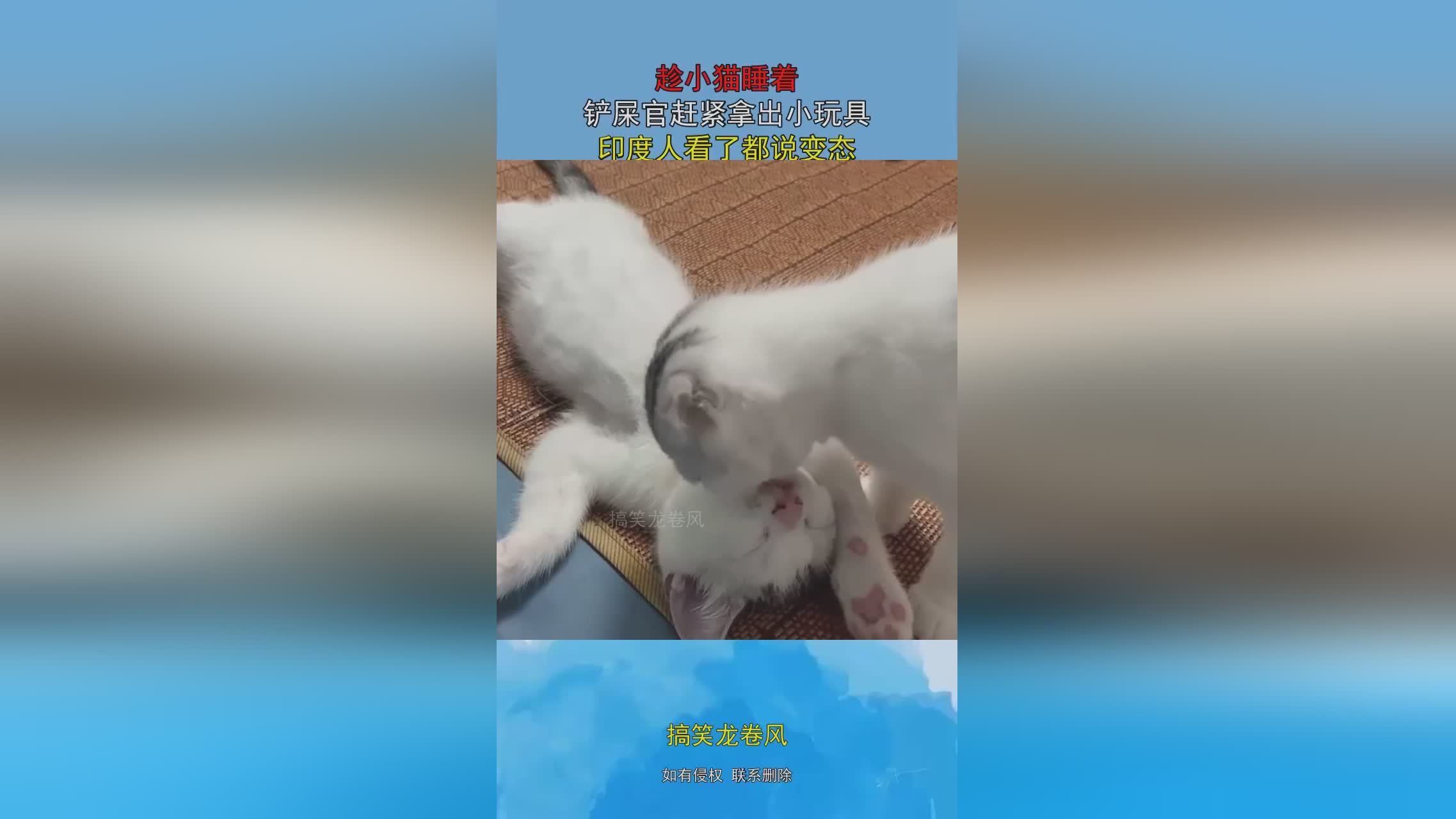 图