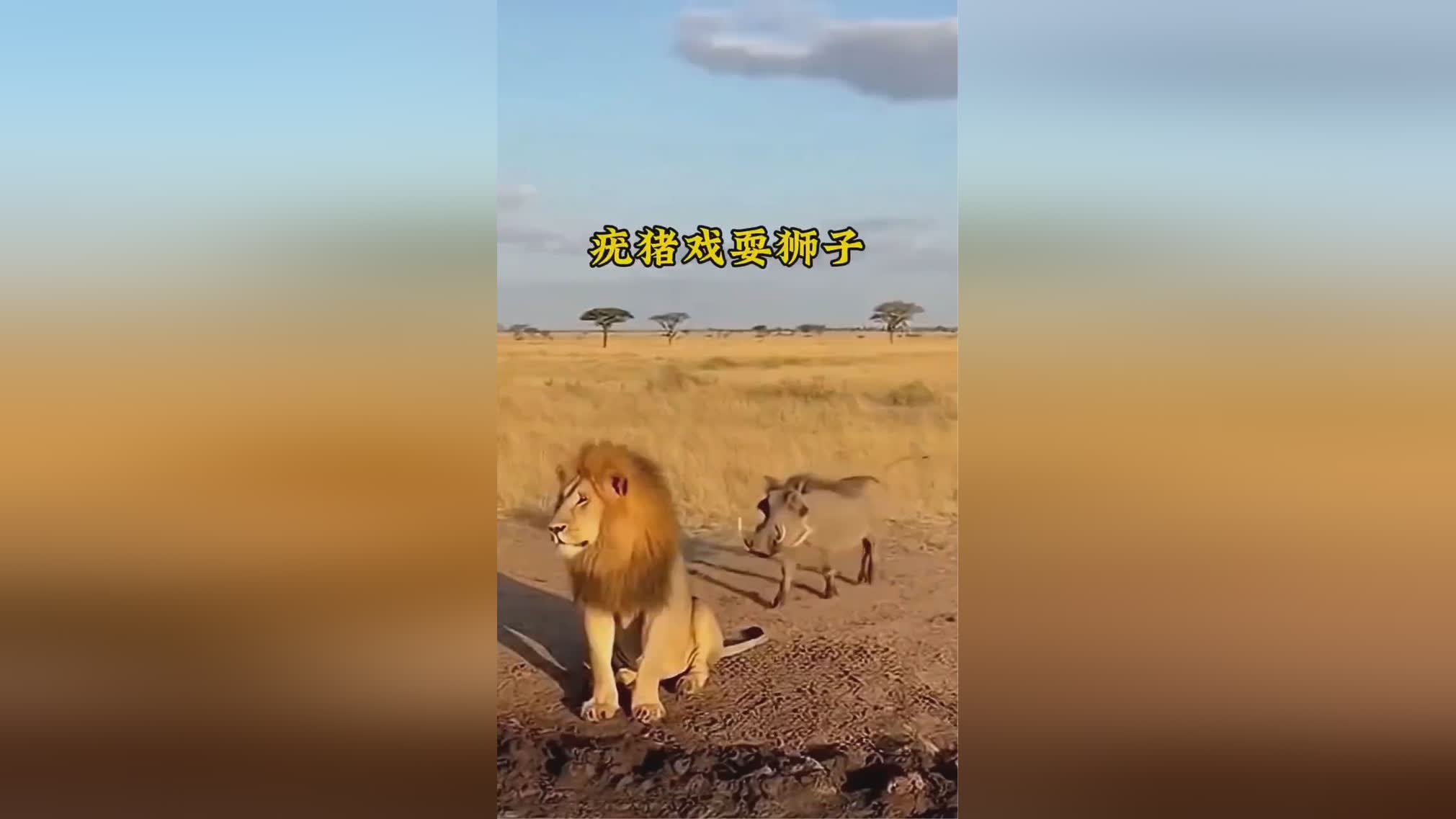 图