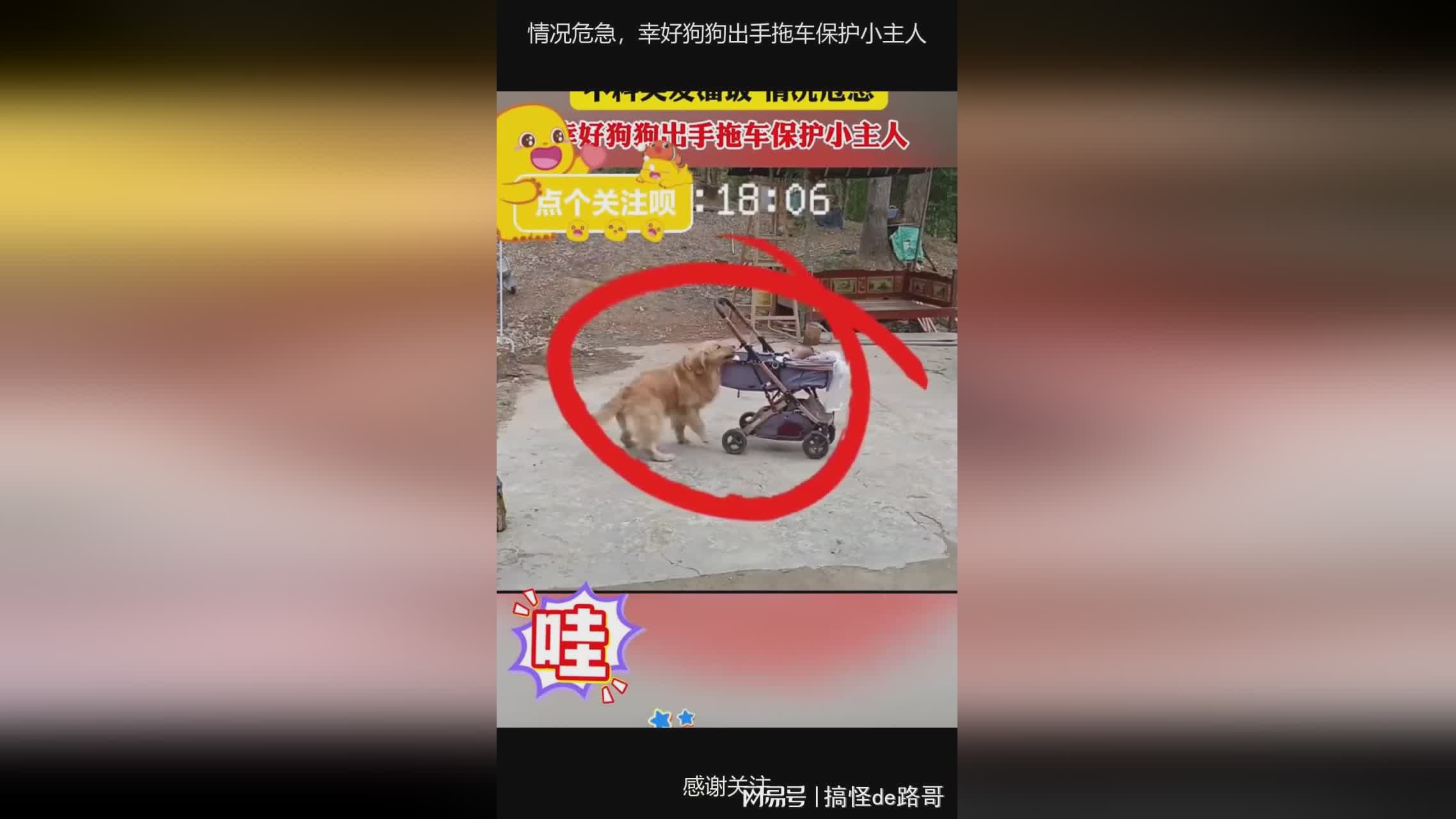 图