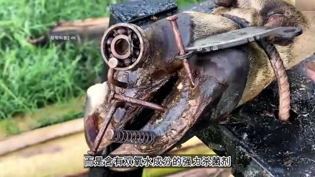 图