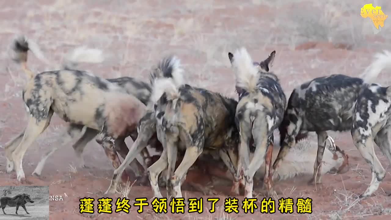 图