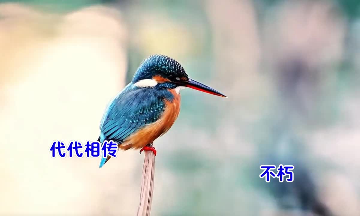 图