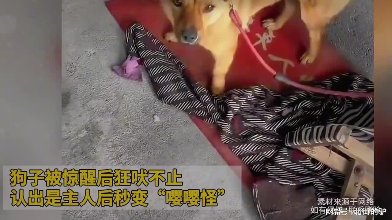 图