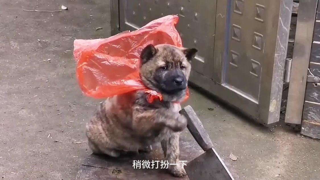 图