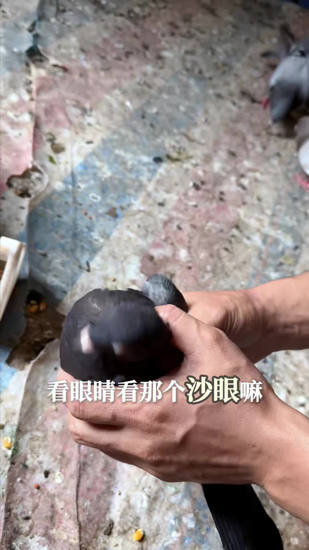 图