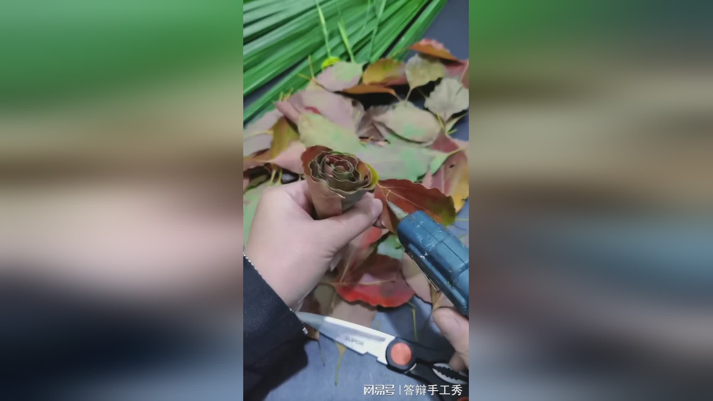 图