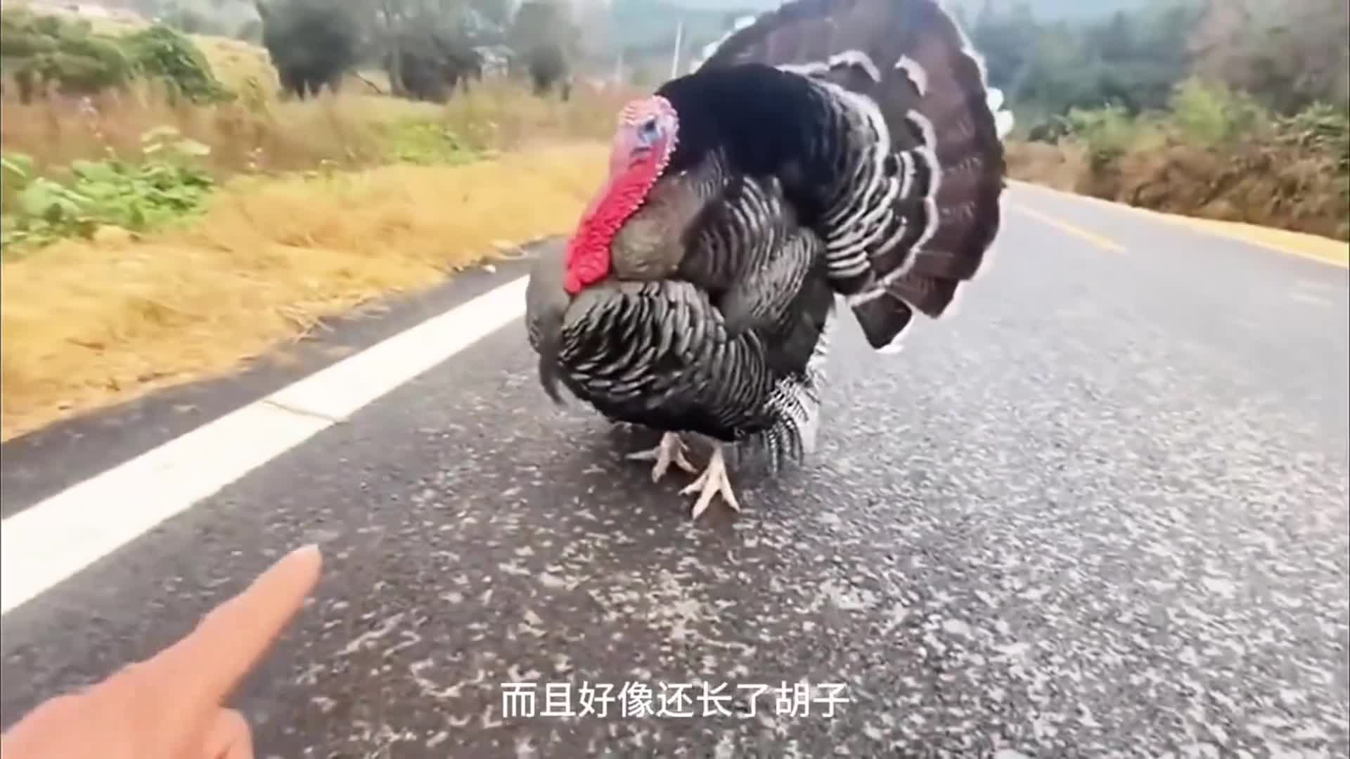 图