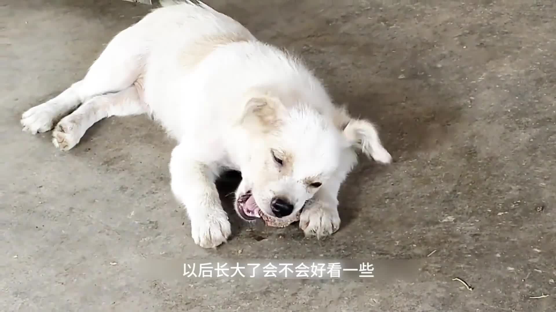 图