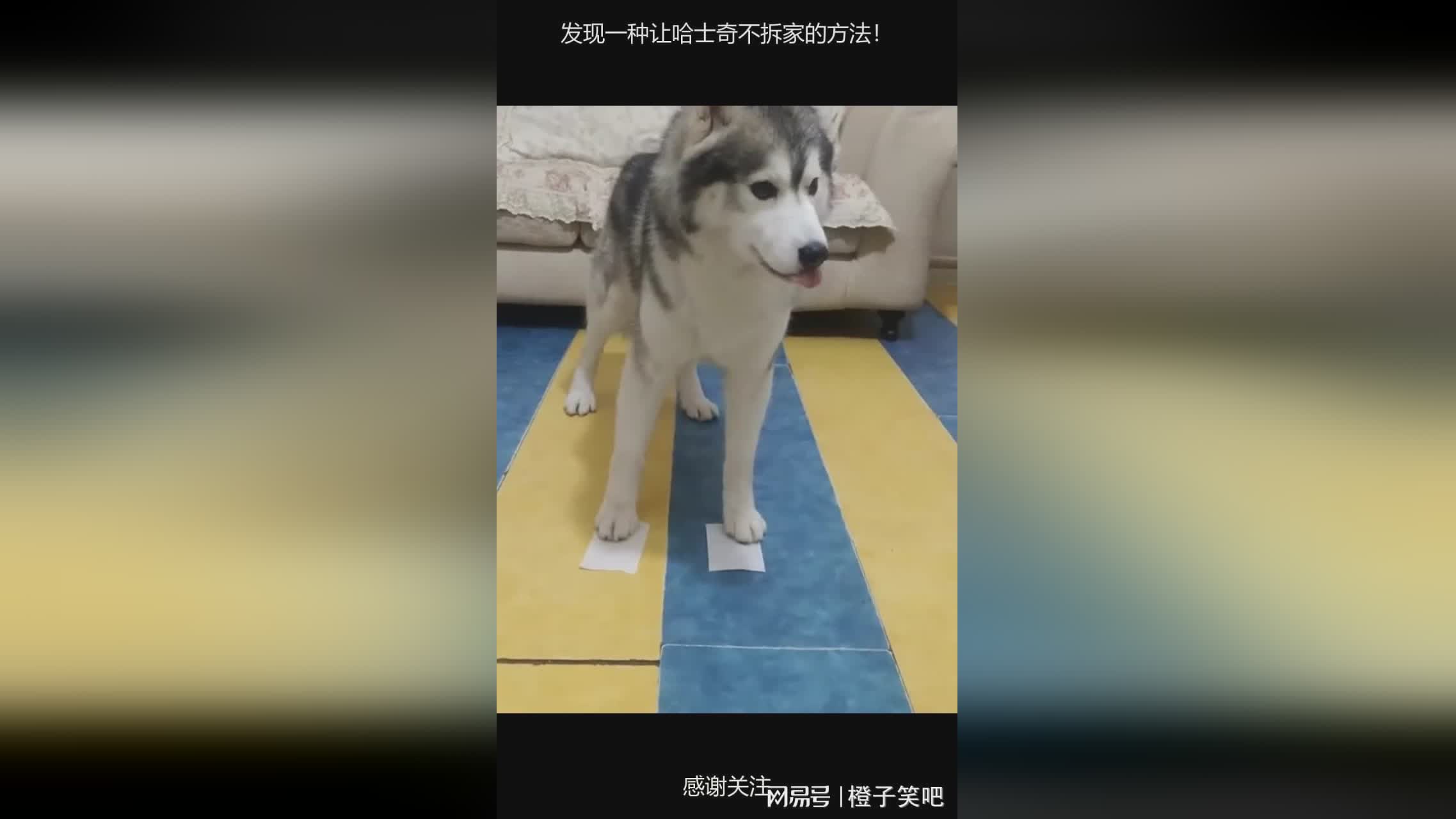 图
