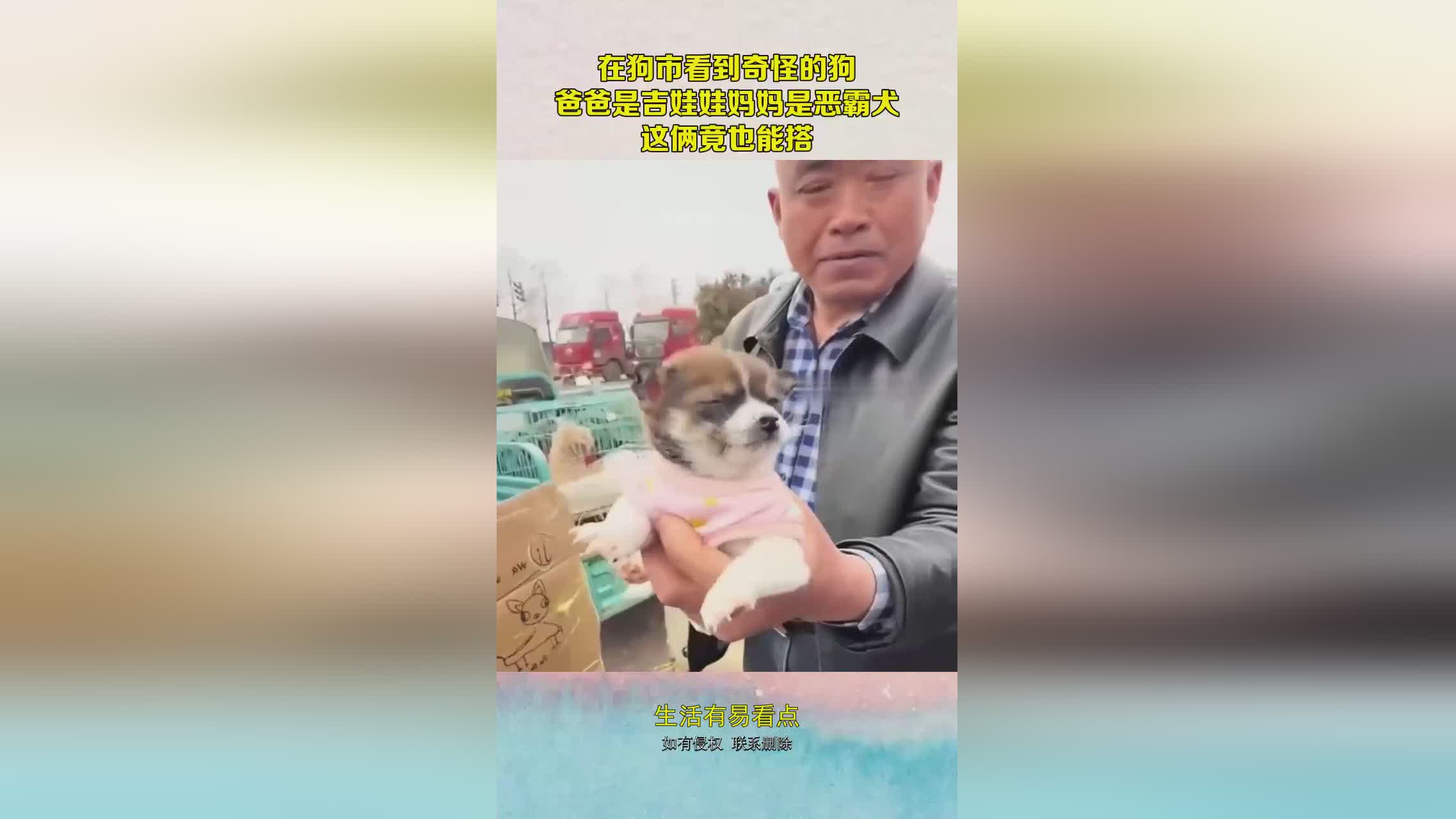 图