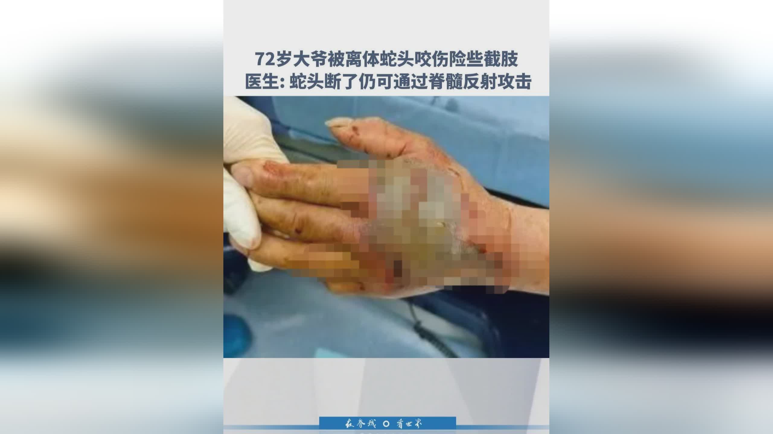 图