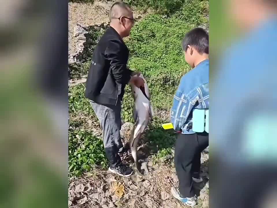 图